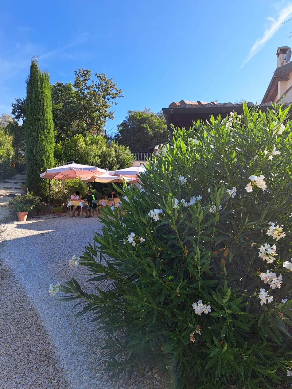 Casale Terre Rosse Bed and Breakfast Saturnia Exteriör bild
