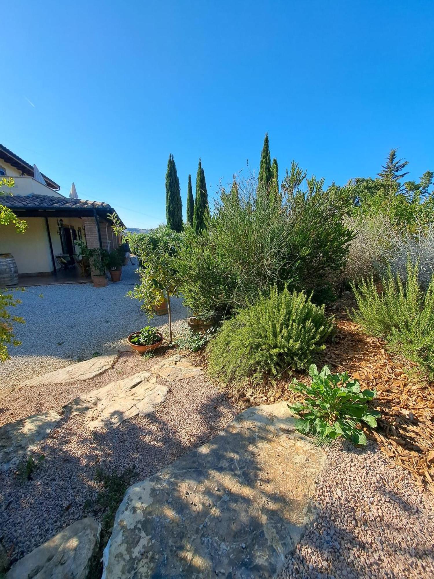 Casale Terre Rosse Bed and Breakfast Saturnia Exteriör bild