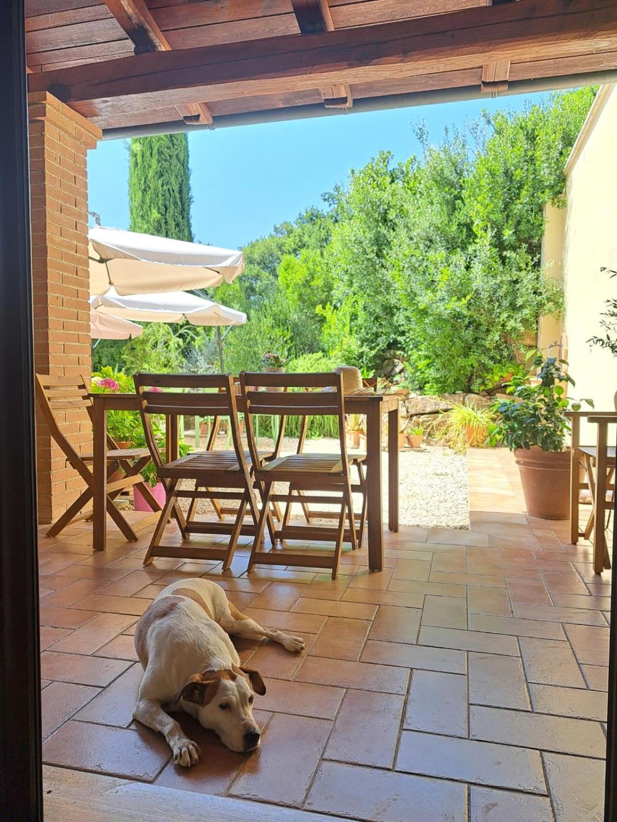 Casale Terre Rosse Bed and Breakfast Saturnia Exteriör bild