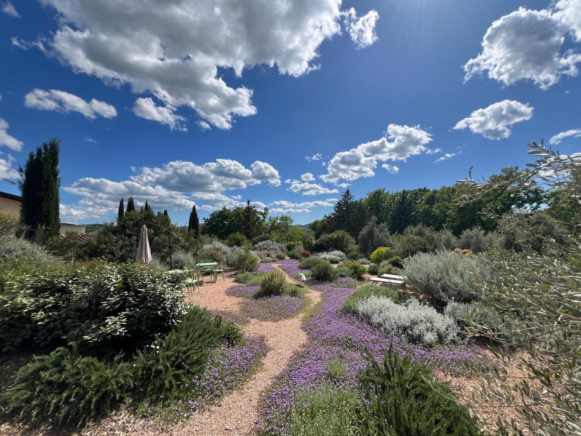 Casale Terre Rosse Bed and Breakfast Saturnia Exteriör bild