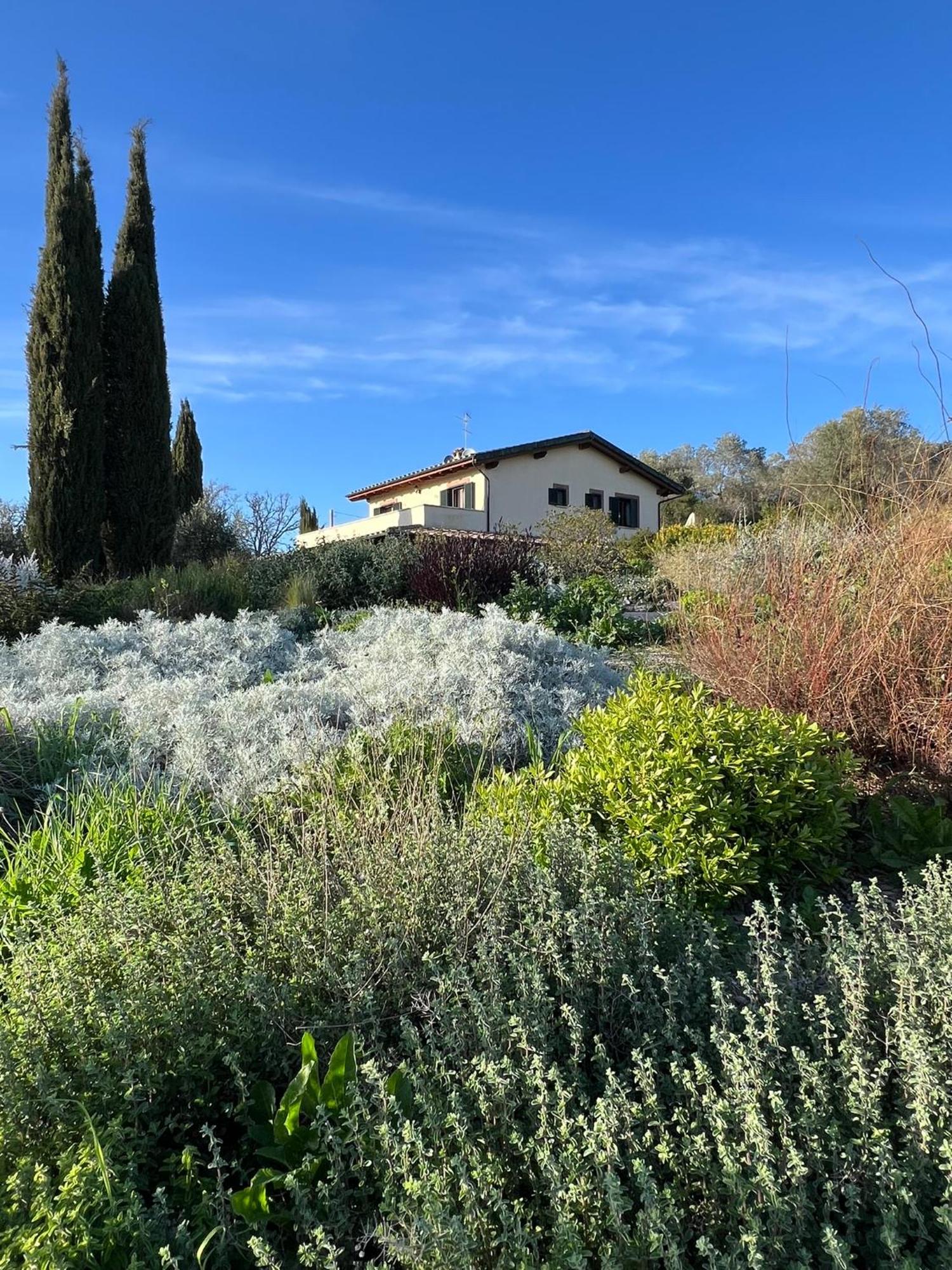 Casale Terre Rosse Bed and Breakfast Saturnia Exteriör bild