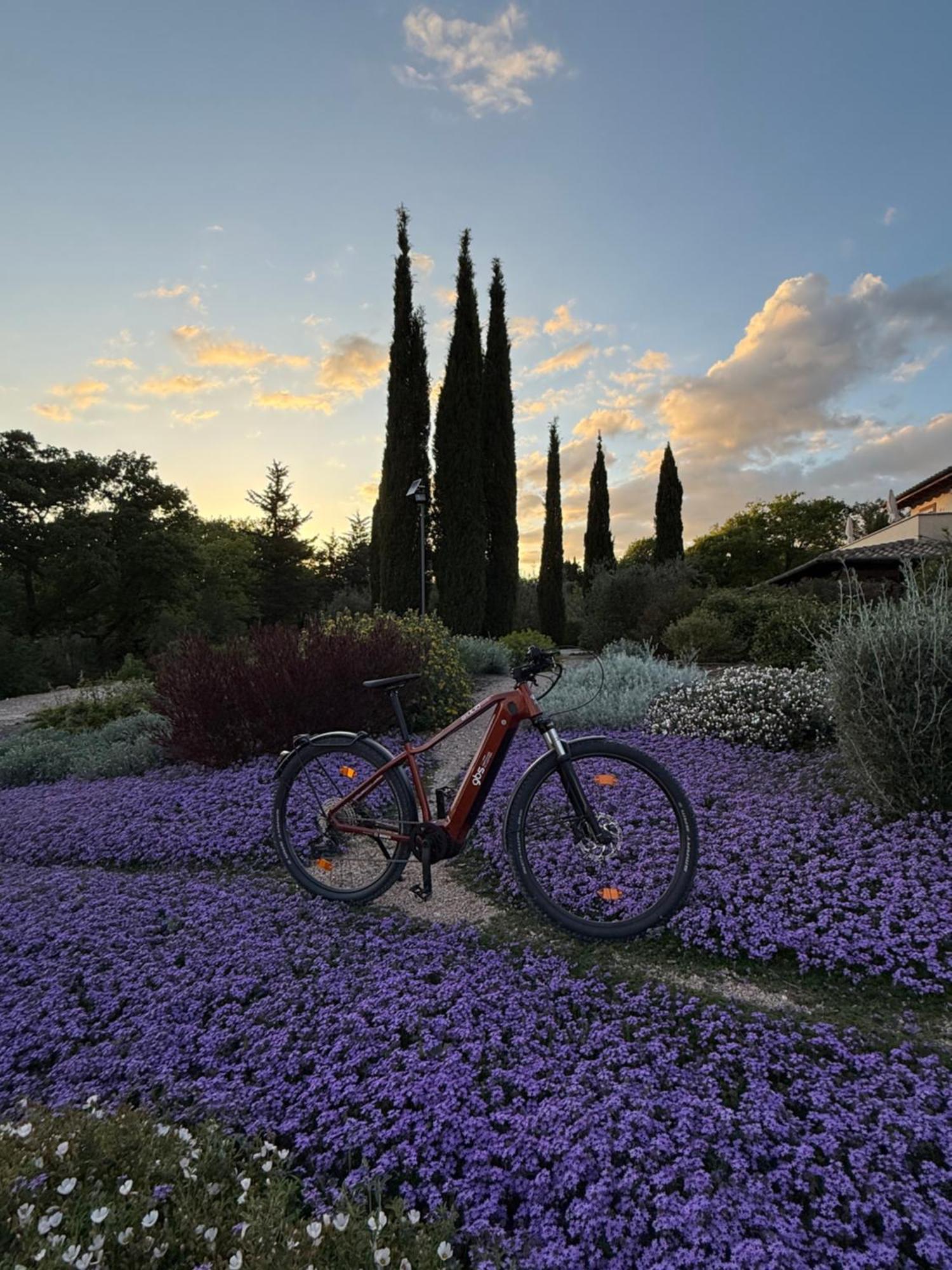 Casale Terre Rosse Bed and Breakfast Saturnia Exteriör bild