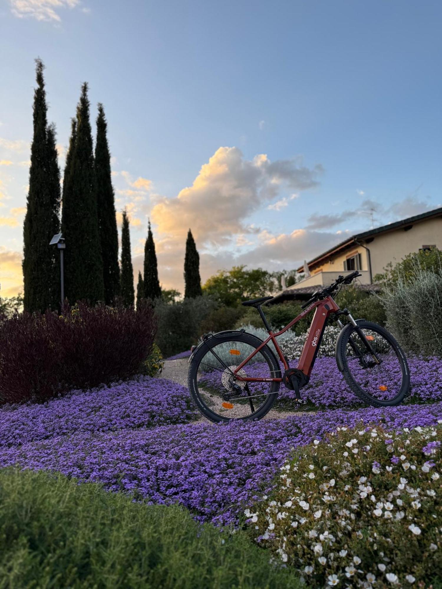 Casale Terre Rosse Bed and Breakfast Saturnia Exteriör bild